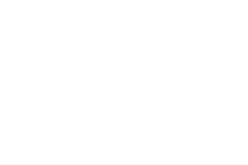 IM Capital
